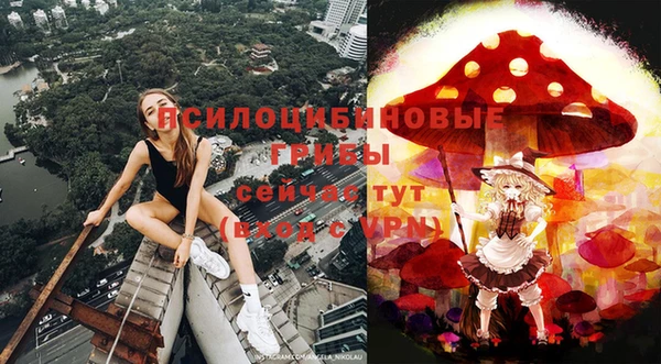 a pvp Заволжск