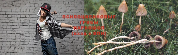 a pvp Заволжск